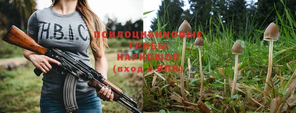 соль ск Балахна
